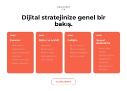 Harika Dijital Çözümler Için En Iyi WordPress Teması