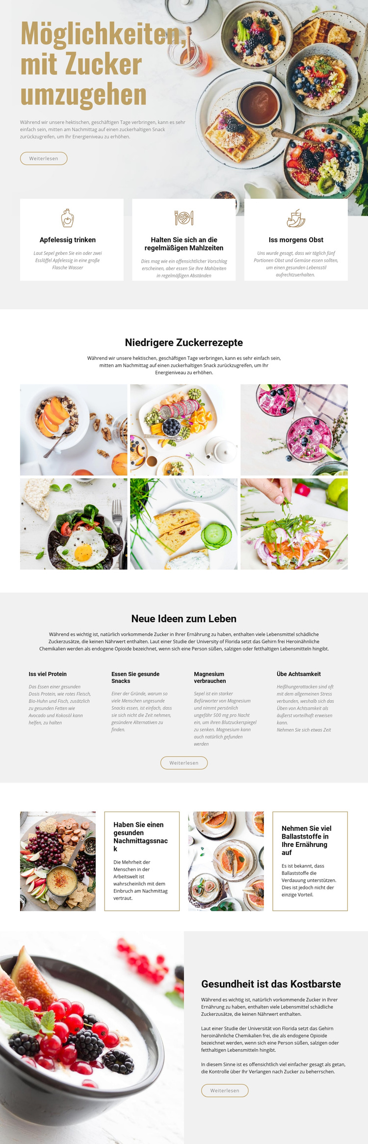 Verwalten Sie Zucker in Lebensmitteln WordPress-Theme