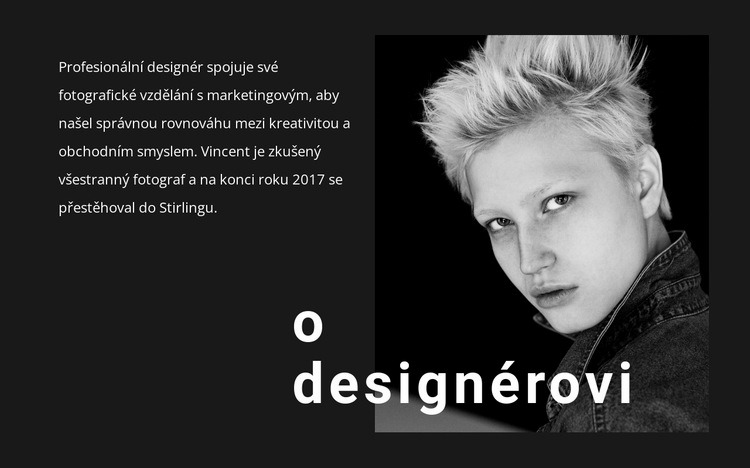 O podpoře podnikání Webový design