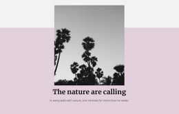 Luxury Holidays Free Website