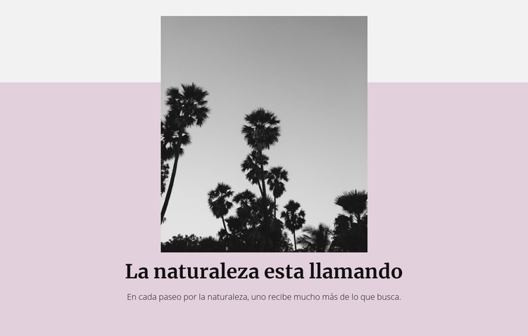 Vacaciones de lujo Plantilla CSS