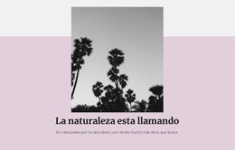 Vacaciones De Lujo - Plantilla HTML5, Responsiva, Gratuita