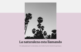 Vacaciones De Lujo - Descarga De Plantilla De Sitio Web