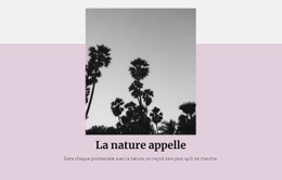 Vacances De Luxe - Modèle Personnalisé D'Une Page