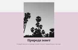 Роскошный Отдых – Шаблоны Веб-Сайтов