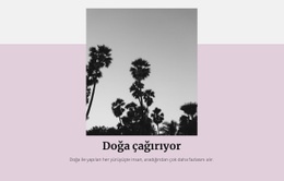 Lüks Tatiller Için Premium Web Sitesi Tasarımı