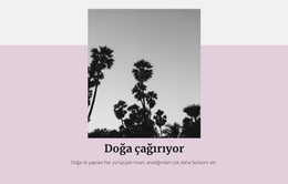 Lüks Tatiller - Özel WordPress Teması