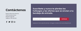 El Mejor Diseño De Sitio Web Para Nunca Te Pierdas Los Hallazgos Y Las Ofertas