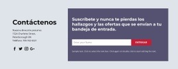 Nunca Te Pierdas Los Hallazgos Y Las Ofertas - Crea Una Plantilla Increíble