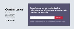 Nunca Te Pierdas Los Hallazgos Y Las Ofertas Plantilla De Sitio Web CSS Gratuita