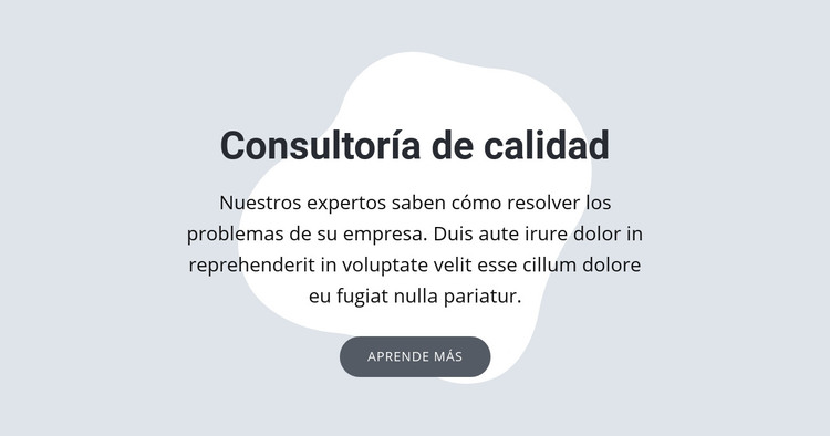 Consultoría de calidad Plantilla HTML