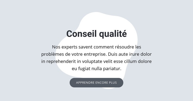 Conseil qualité Créateur de site Web HTML