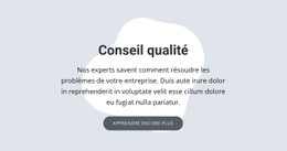 Conseil Qualité Modèle De Site Web CSS Gratuit