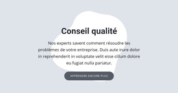 Conseil Qualité - Modèle Gratuit