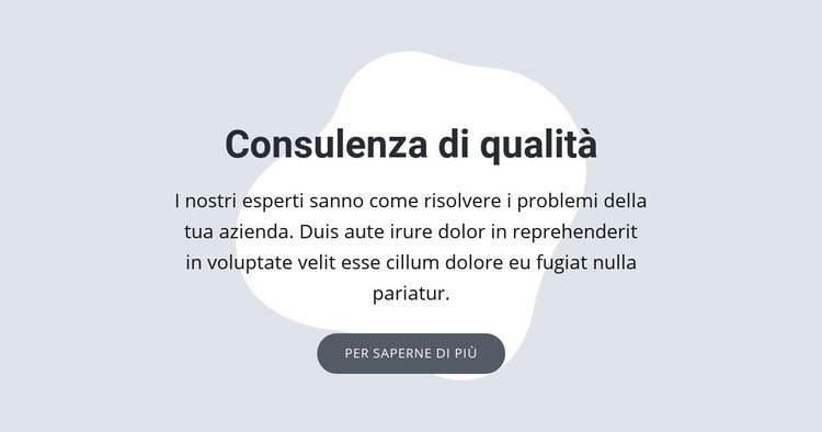 Consulenza di qualità Costruttore di siti web HTML