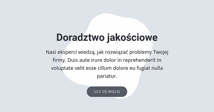 Doradztwo jakościowe Projekt strony internetowej