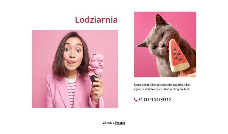 Słoiki, mini i wanny Szablon CSS