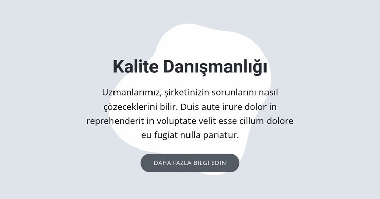 Kalite danışmanlığı Web sitesi tasarımı