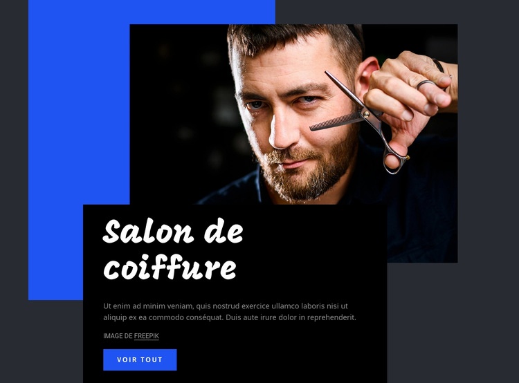 salon de coiffure Maquette de site Web