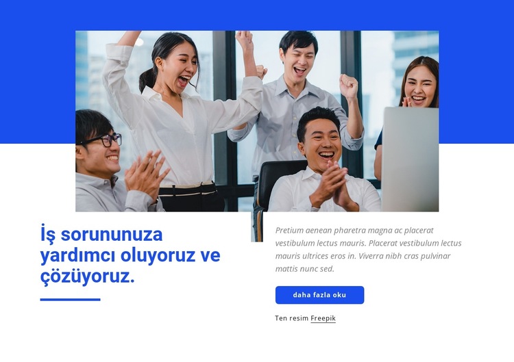 Stratejik ortağınız Web Sitesi Şablonu