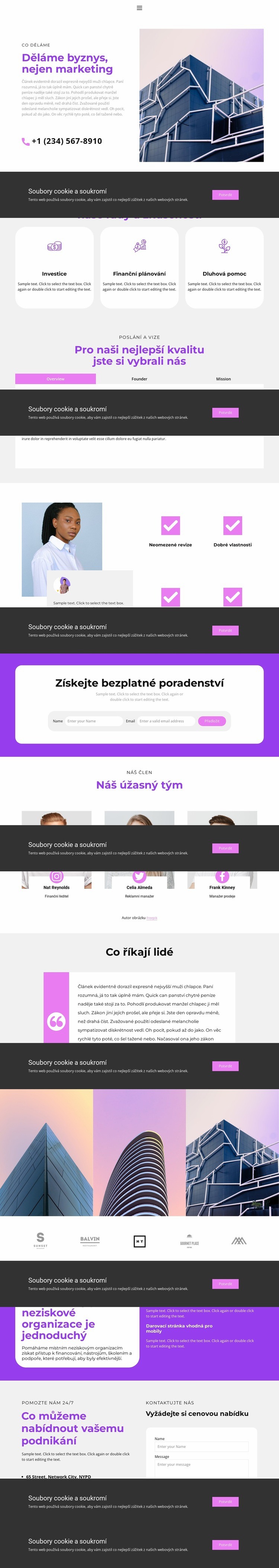 Marketingový průzkum trhu Téma WordPress