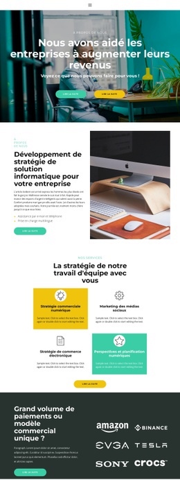 Superbe Conception De Site Web Pour Aide Au Développement