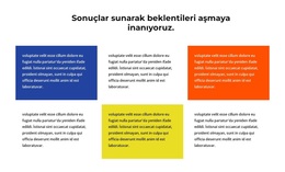 Sonuç Teslimatı - En Iyi WordPress Teması
