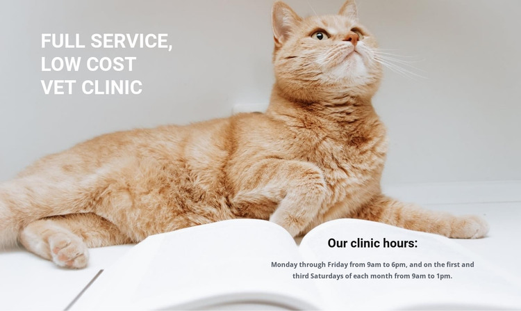 Animal medical professionals HTML Template