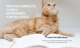 Professionisti Medici Degli Animali Modelli 2021