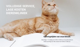 Diergeneeskundigen Responsieve Websitesjabloon