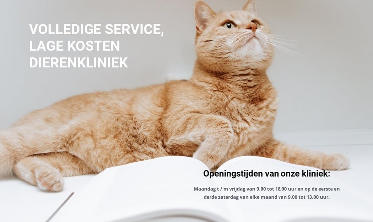 Diergeneeskundigen Website ontwerp