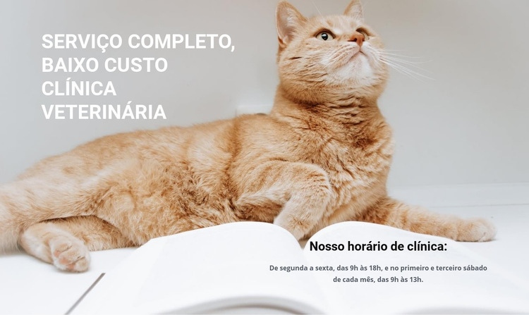 Profissionais da medicina animal Construtor de sites HTML