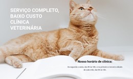 Profissionais Da Medicina Animal