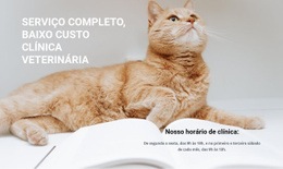 Profissionais Da Medicina Animal Velocidade Do Google