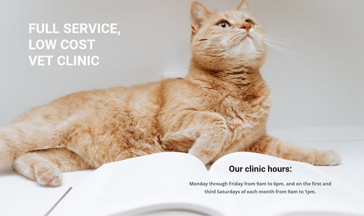 Animal medical professionals Squarespace Template Alternative