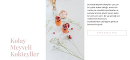 Meyve Kokteylleri - WordPress Ve WooCommerce Teması