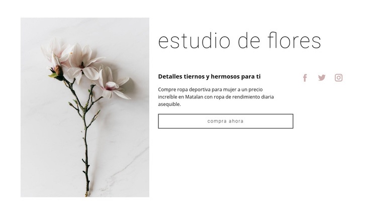 Salón de flores Plantillas de creación de sitios web