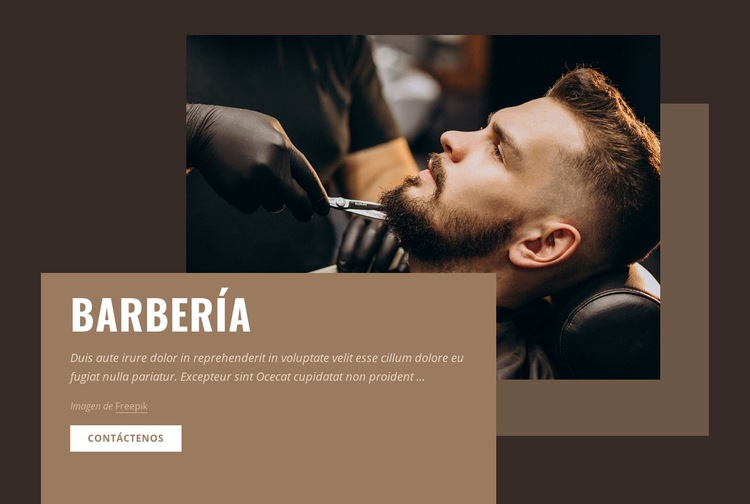 Barberos y peluquería Maqueta de sitio web