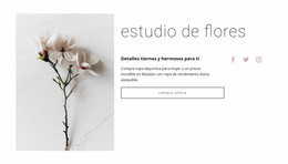 Salón De Flores: Plantilla De Sitio Web Joomla