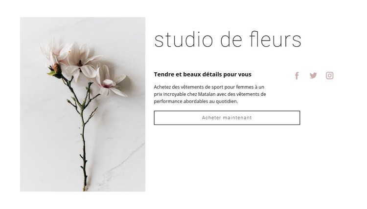 Salon de fleurs Modèle HTML5