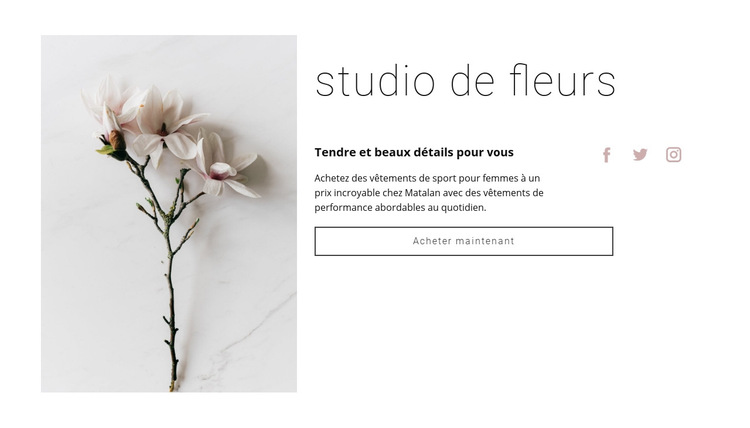 Salon de fleurs Modèle de site Web