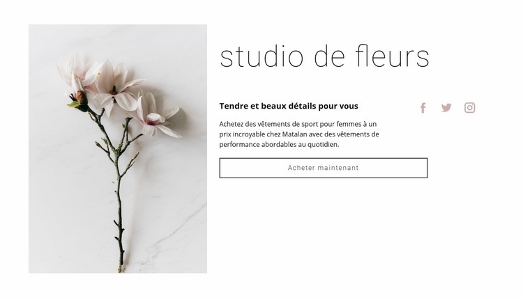 Salon de fleurs Modèle d'une page