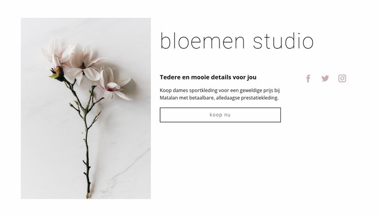 Bloemen salon Bestemmingspagina