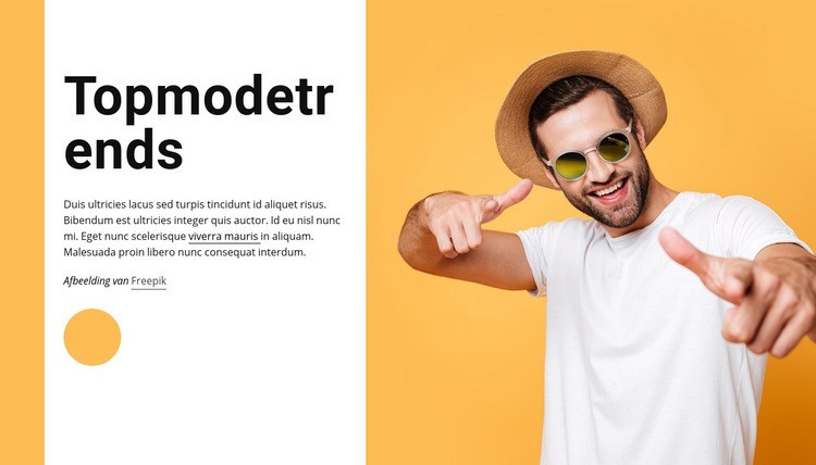 Topmodetrends WordPress-thema