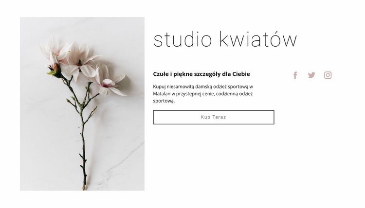 Salon kwiatów Makieta strony internetowej