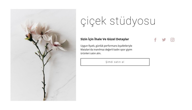 Çiçek salonu CSS Şablonu