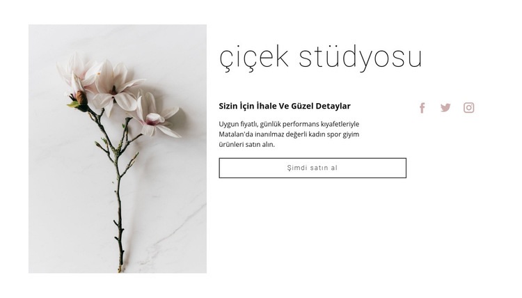 Çiçek salonu Html Web Sitesi Oluşturucu