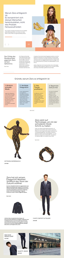 Zara Erfolg – Fertiges Website-Design