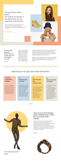 Éxito De Zara: Plantilla De Sitio Web Sencilla