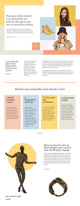 HTML Gratuit Pour Succès De Zara